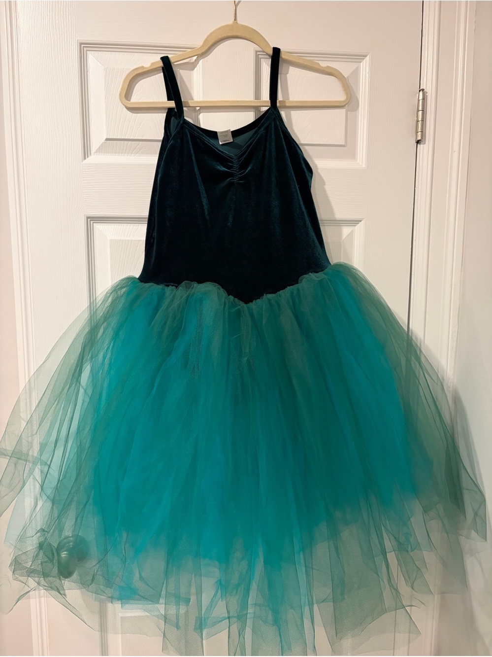 A Wish Come True Green Ballet Costume
